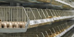 Regale mit metallischen Rohren und Fittings, ordentlich in Drahtkörben aufgereiht, in einem gut beleuchteten Geschäft.